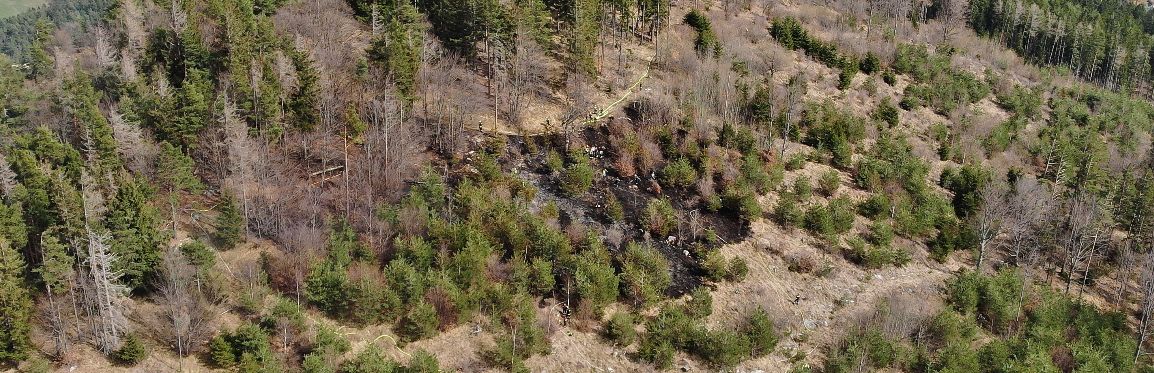 Waldbrand Novystein 25.3.2026